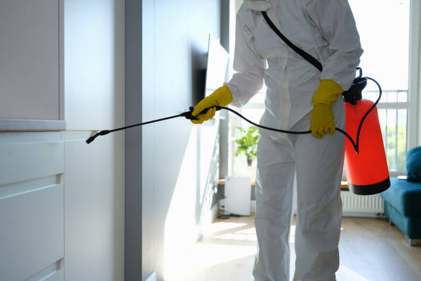 Pest Control for Restaurants and Food Service